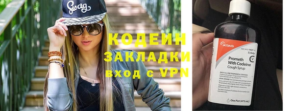 прущий лед Богданович