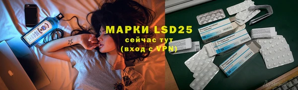 прущий лед Богданович