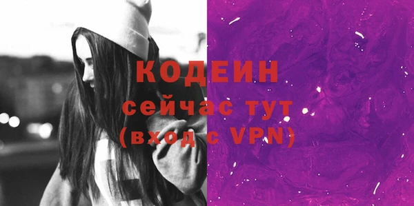 прущий лед Богданович