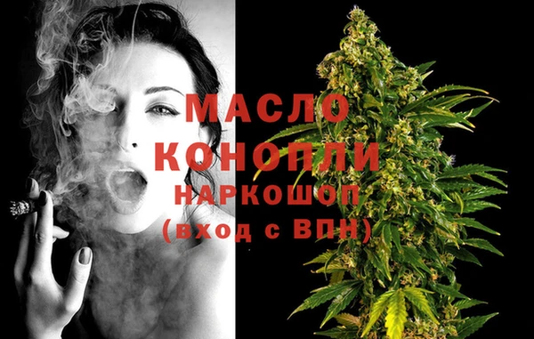 прущий лед Богданович