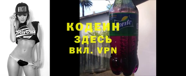 spice Богородск