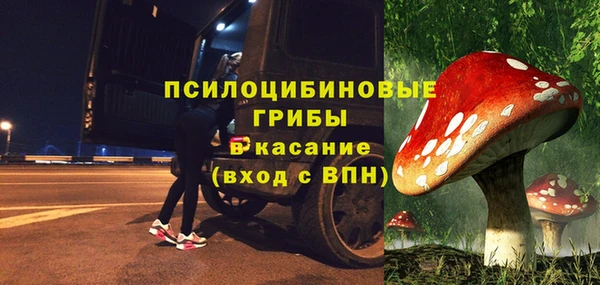 прущая мука Богородицк