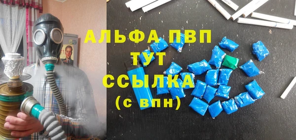 прущий лед Богданович