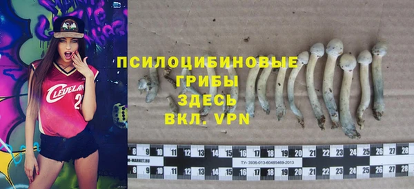 прущая мука Богородицк