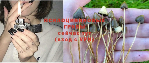 прущая мука Богородицк