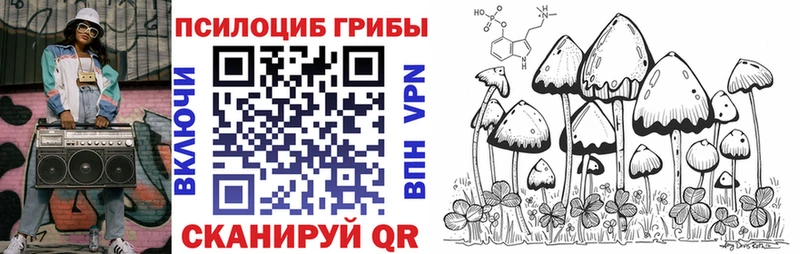 купить  цена  Бородино  Псилоцибиновые грибы мицелий 